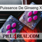 Ginseng Power X 01